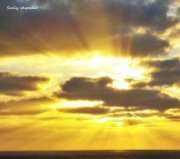 Yellow Sunset, Gaza