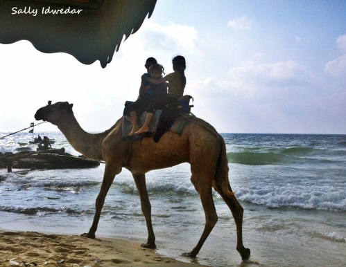 Children ride a camel for a few shekels. 