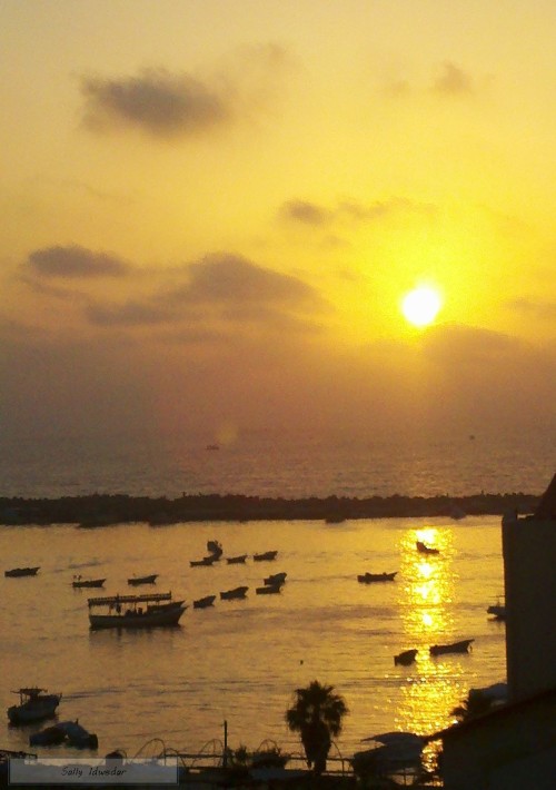 Amazing yellow Gaza sunset 